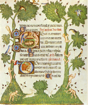 Libro dore Isabella di Castiglia. Ms. 76 F. 6. Miniatore della scuola si Giovannino de Grassi. Motivo decorativo, LAja, Koninkliske Bibliotheek - (clic aqui paa ampliar informacin)