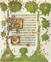 Libro d´ore Isabella di Castiglia. Ms. 76 F. 6. Miniatore della scuola si Giovannino de Grassi. Motivo decorativo, L´Aja, Koninkliske Bibliotheek - (clic aqui paa ampliar información)
