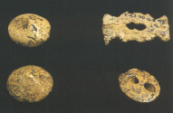 Botones de hueso perforado en V encontrados en el yacimiento de Peña Guerra I