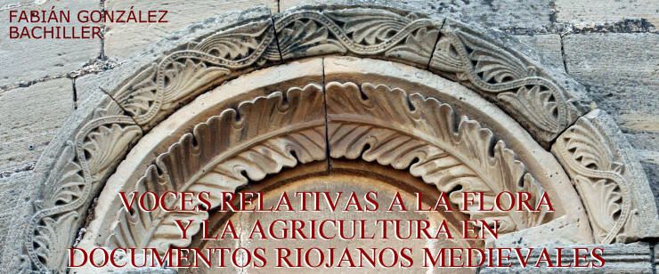 Detalle de ventana de medio punto, decorada con motivos geométricos y vegetales del ábside de la iglesia de San Julián en Castilseco (La Rioja).  Finales del siglo XII.