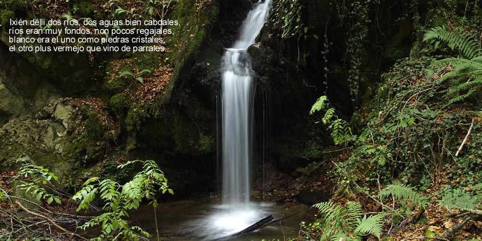 Fuentecilla que acrece de aguas puras al ro Crdenas