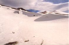 Blancura de nieves cuando no han sido pisadas. Monte San Lorenzo
