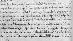Detalle del documento de venta de dos viñas a D.Pedro de Olmos, camarero del monasterio, II