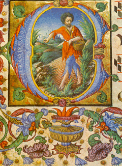 Liberale da Verona, 'el sembrador'; Gradual, 1470. Cor. 5, c. 9  r. Siena, Libreria Piccolomini.