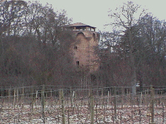 Torremontalbo, rodeado de viedos emparrados junto al ro Najerilla