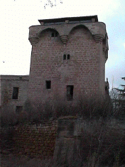 vista general de la Torre