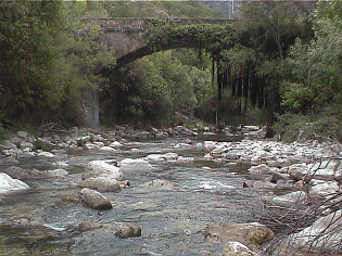 Ro Najerilla entre Valvanera y Anguiano